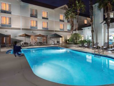 Hilton Garden Mary